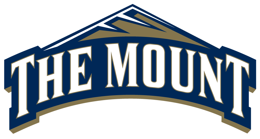 Mount St. Marys Mountaineers logos iron-ons